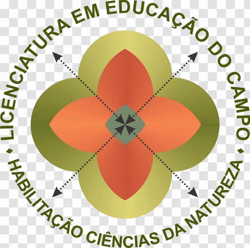 Federal University Of Rio Grande Do Sul Licentiate Educação Campo Education Faculdade De Da Universidade - Diagram - Mandala Transparent PNG