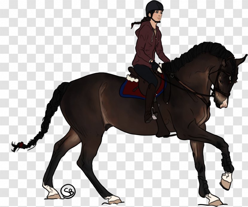 Stallion Hunt Seat Mustang Rein Mare - Mane - Turn Around And Look Transparent PNG