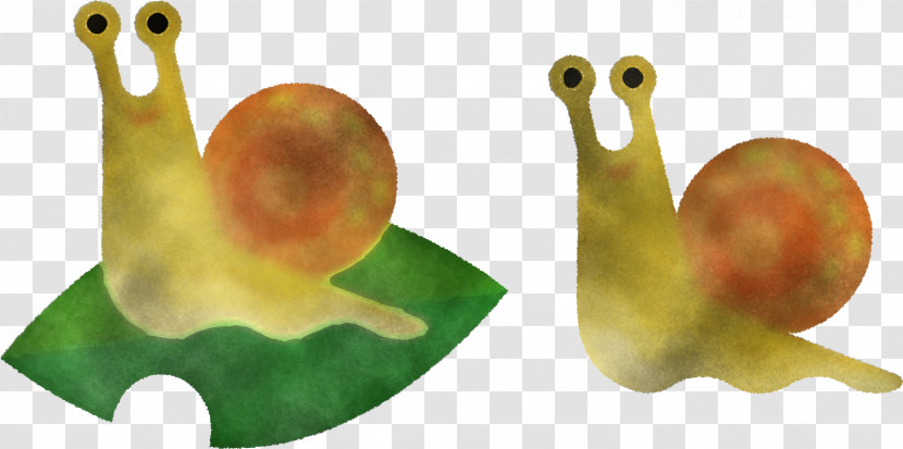 Snail Transparent PNG