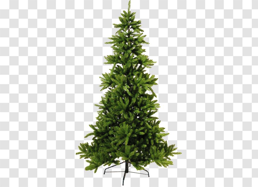 Christmas Tree - Balsam Fir - Lodgepole Pine Transparent PNG