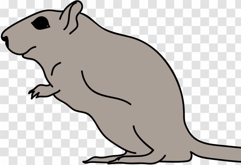 Macropods Beaver Whiskers Canidae Dog - Line Art - Mammal Transparent PNG