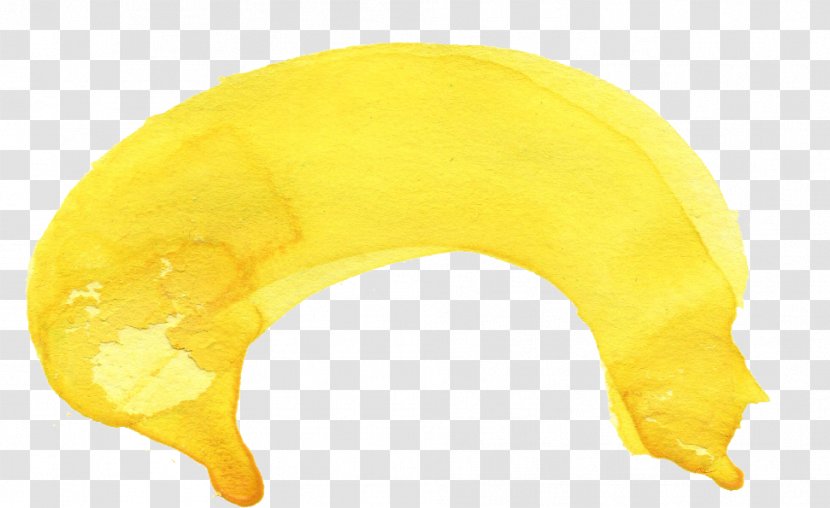 Fruit - Yellow - Banana Family Transparent PNG