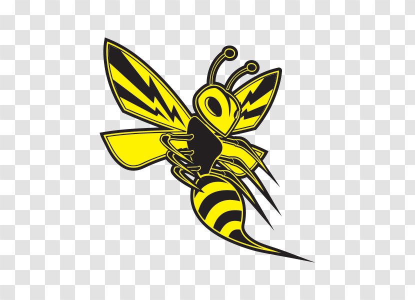 Hornet Bee Decal Wasp Sticker - Artwork Transparent PNG