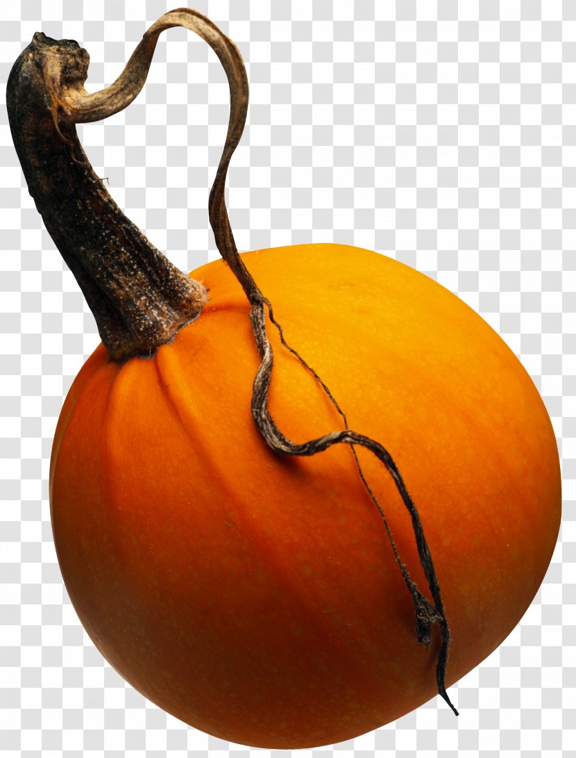 Calabaza Pumpkin Cucurbita Maxima Zucchini Vegetable - Halloween Transparent PNG