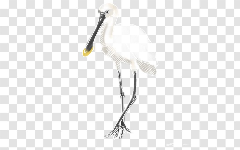 Stork Spoonbills Bird Eurasian Spoonbill Beak - Neck - Cesar Millan Transparent PNG