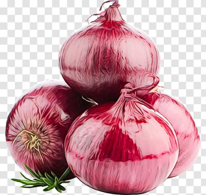 Onion Vegetable Red Plant Allium - Amaryllis Family - Magenta Transparent PNG
