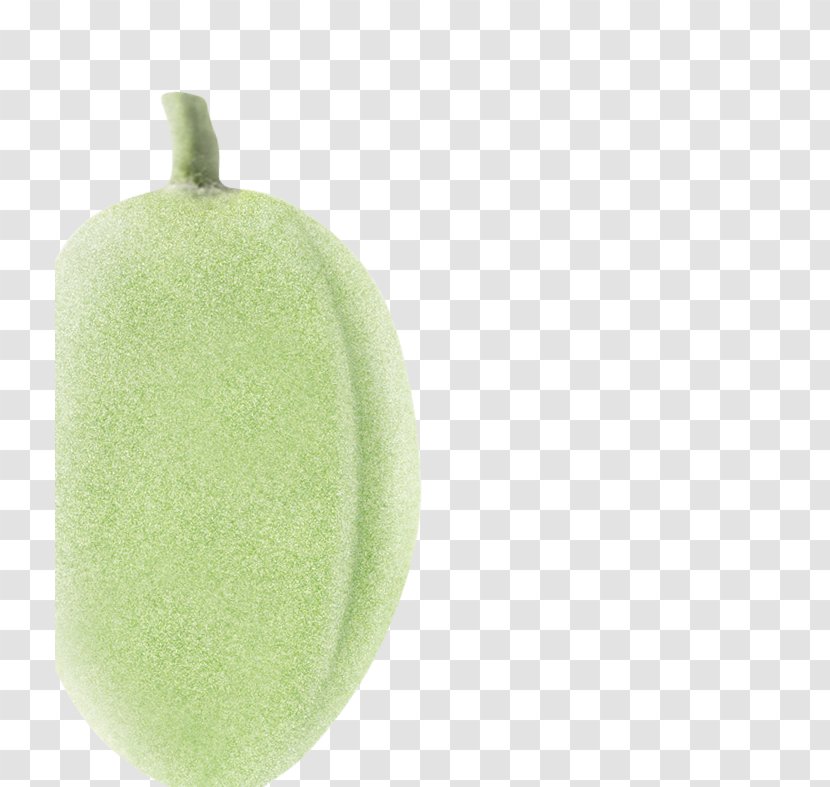 Fruit - Melon - Myrtus Transparent PNG