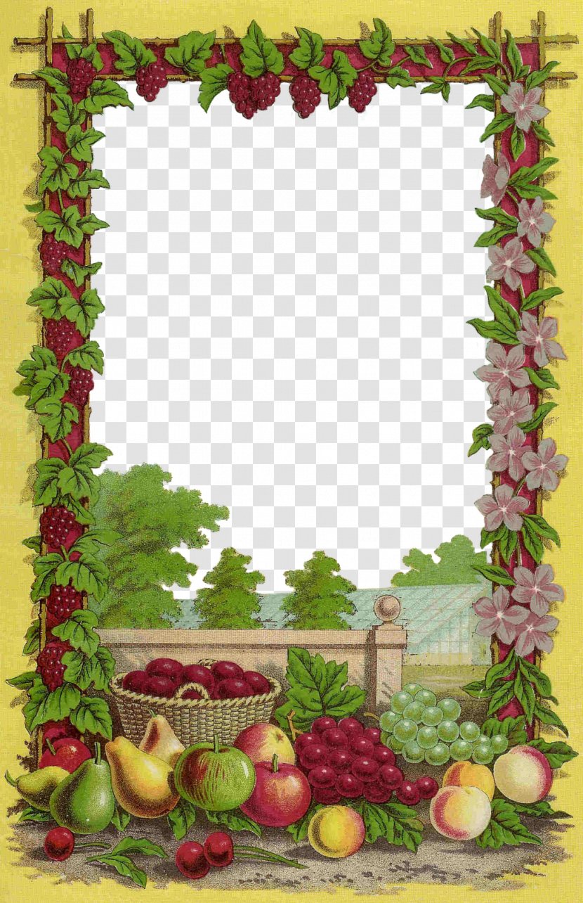 Fruit Picture Frames Seed Clip Art - Talaarawang Panghalamanan - Borders Cliparts Transparent PNG