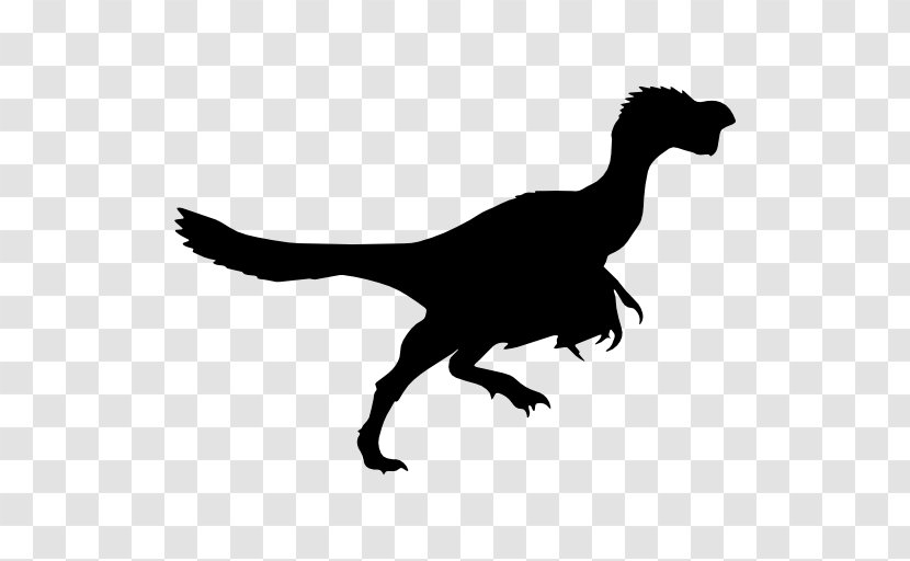 Dinosaur Tyrannosaurus Velociraptor Brachiosaurus Citipati - Scavenger - Vector Transparent PNG