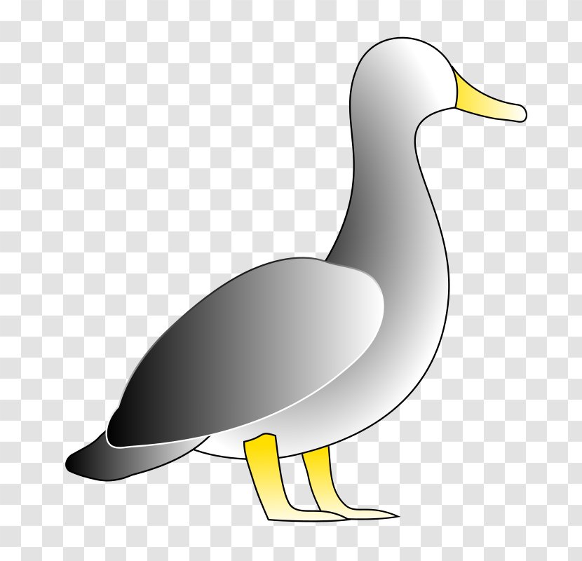 Donald Duck Clip Art - Seabird - DUCK Transparent PNG