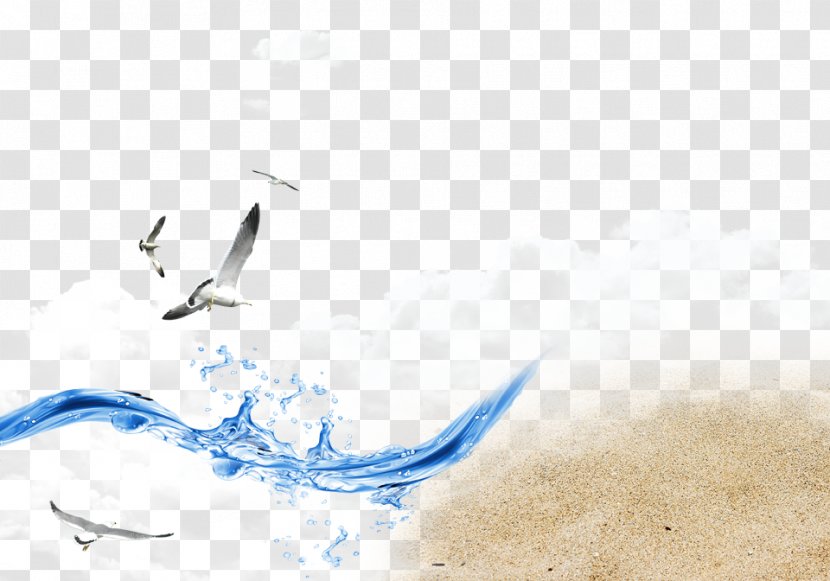 Web Template Wind Wave - Text - Seagull Beach Waves Spray Transparent PNG