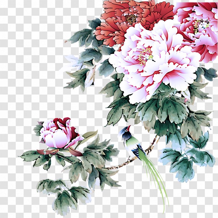 Flower Flowering Plant Common Peony Cut Flowers - Bouquet Chinese Transparent PNG