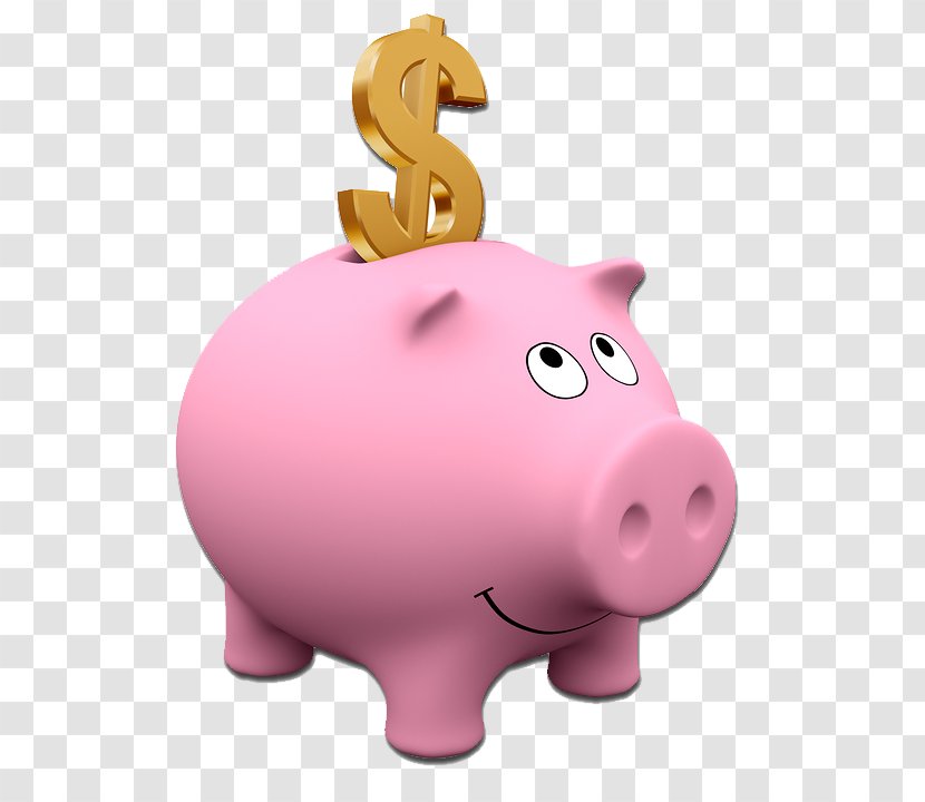 Money Finance Family Organization Saving - Snout - Piggy Bank Transparent PNG