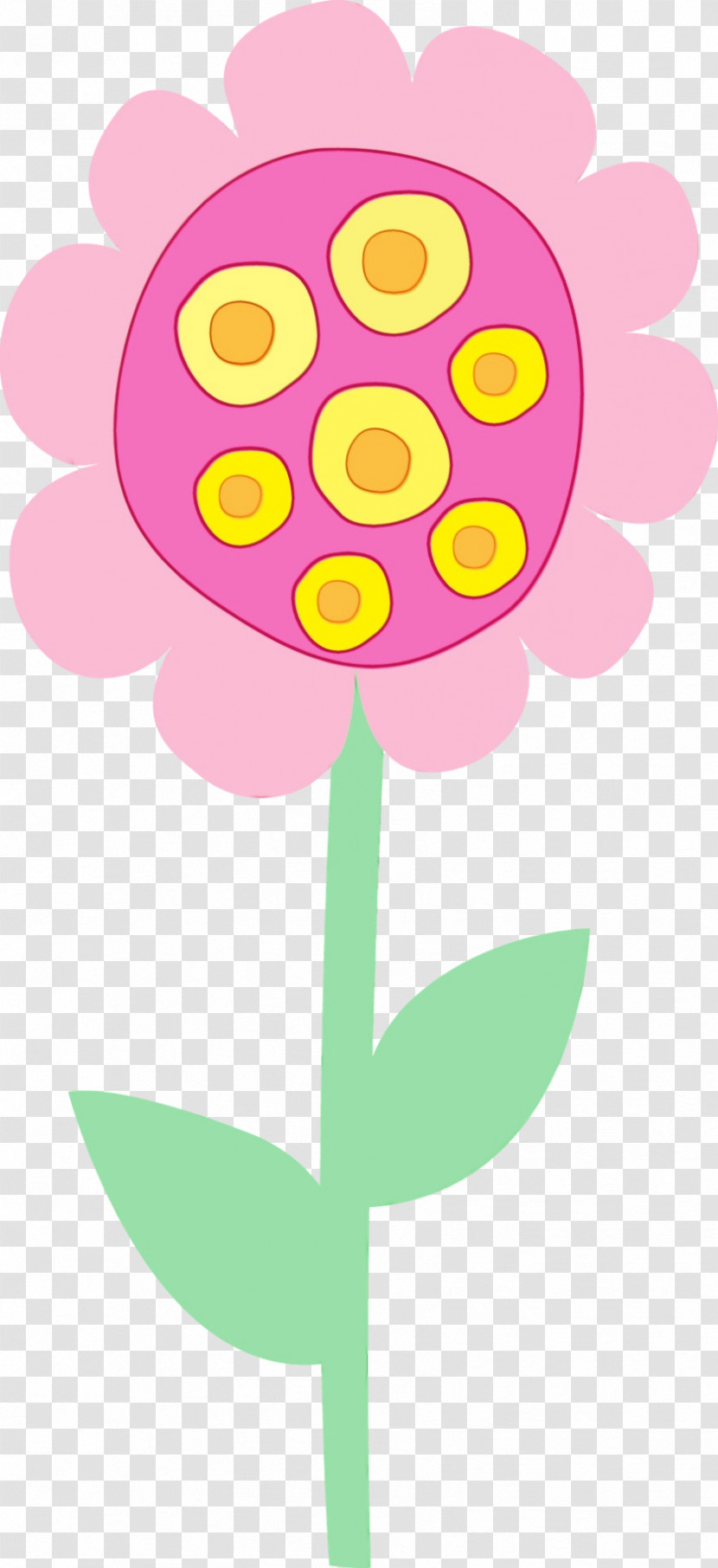 Pink Yellow Plant Flower Magenta Transparent PNG