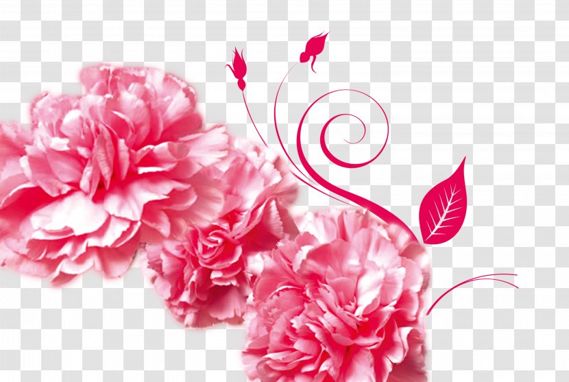 Mothers Day Gratitude Advertising Carnation - Floral Design - Red Peony Transparent PNG