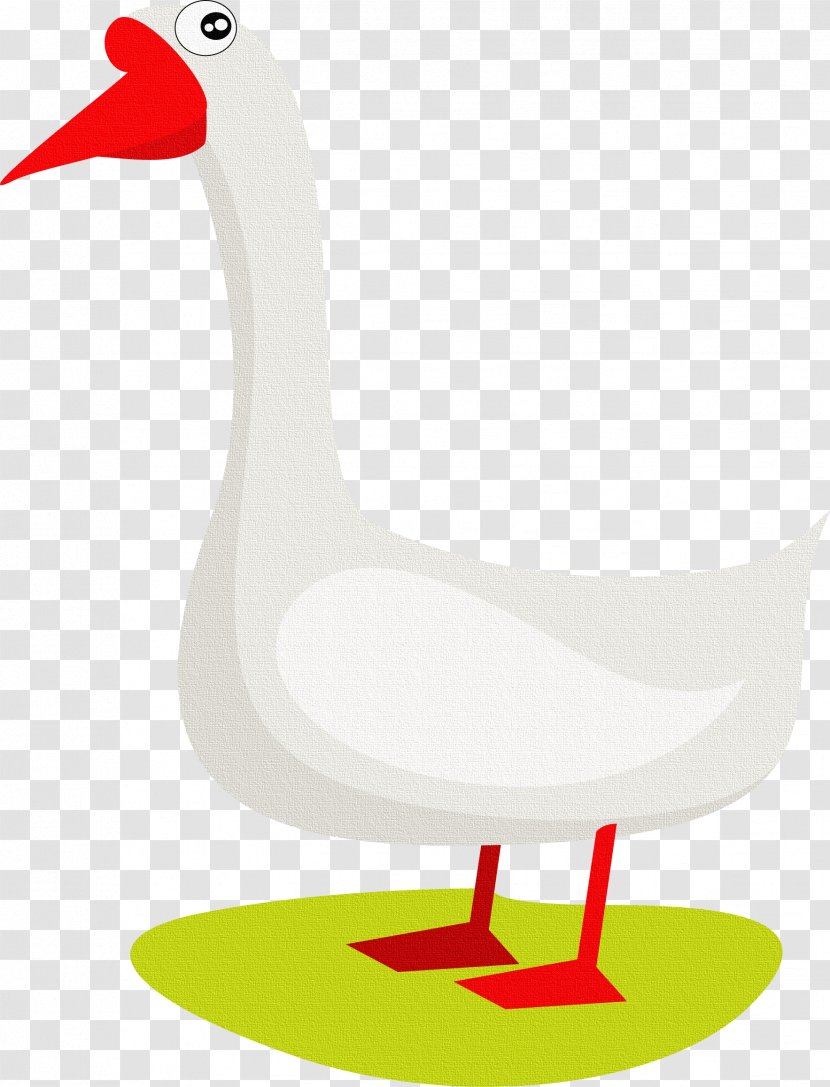 Domestic Goose Duck Clip Art - Drawing Transparent PNG