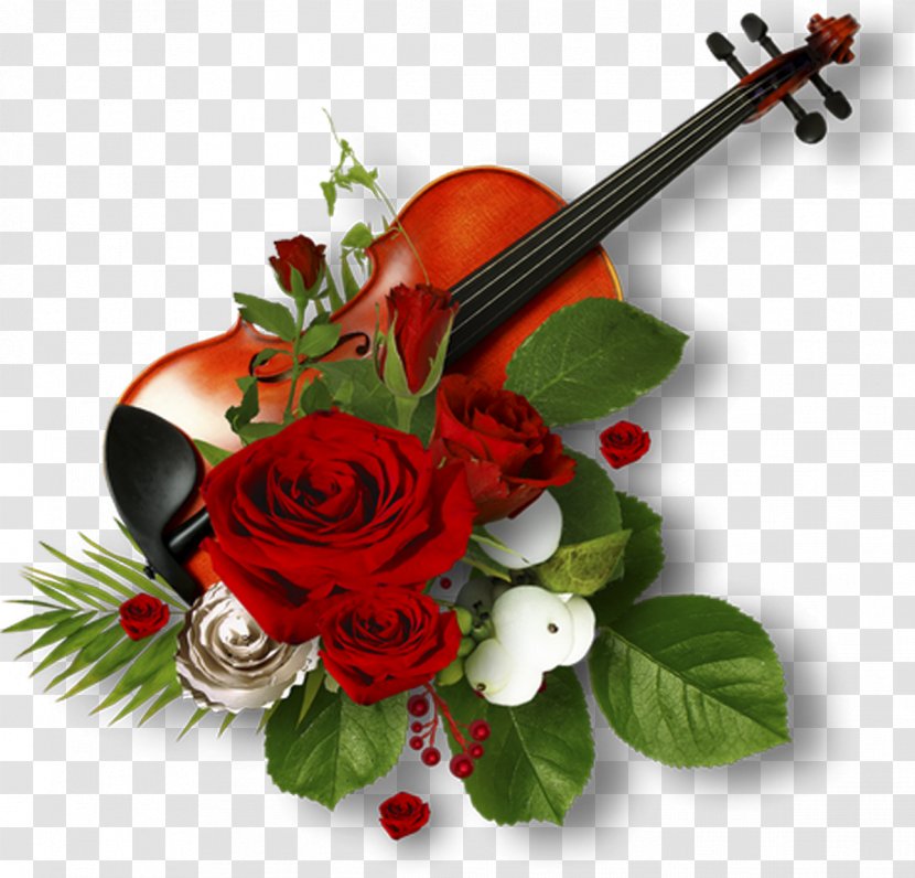 Picture Frames Garden Roses - Violin Family - Cello Transparent PNG