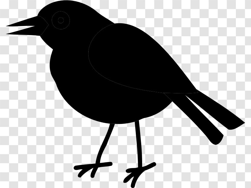American Crow Clip Art Common Raven Fauna Silhouette - Songbird - Vertebrate Transparent PNG