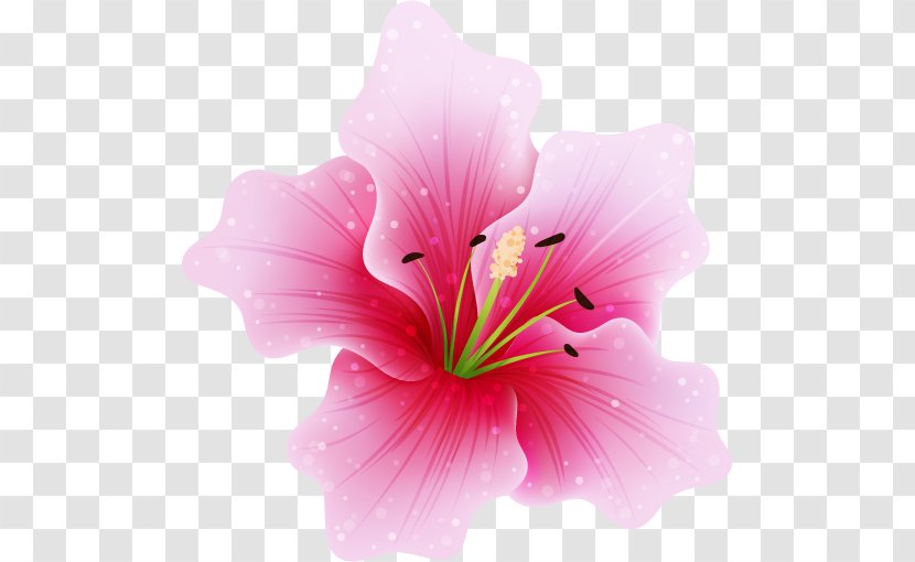 Pink Flowers Fuchsia Clip Art - Rose - Jasmin Flower Transparent PNG