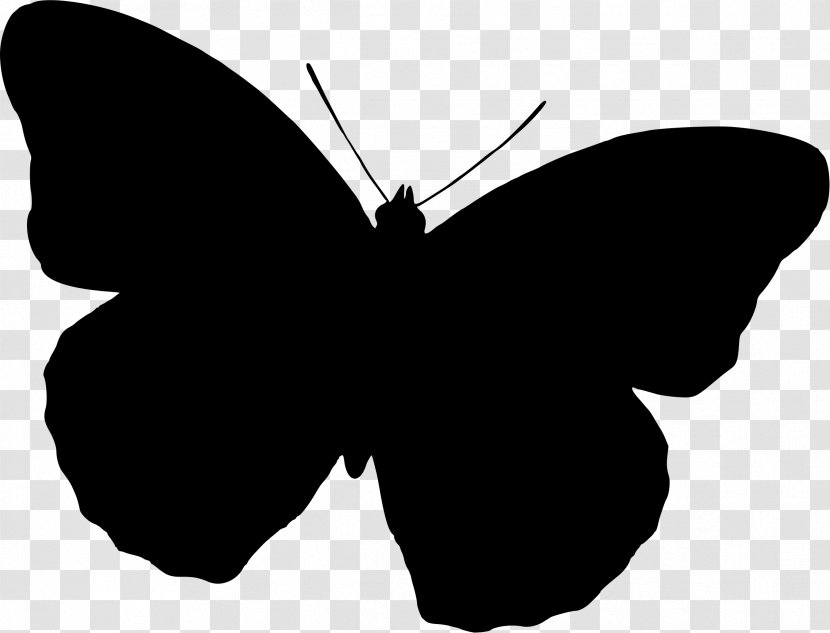 Butterfly Silhouette Clip Art - Wing - Purple Transparent PNG