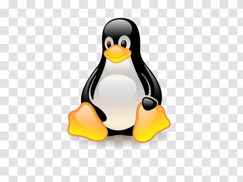 Linux Distribution Operating Systems Computer Software - Mint Transparent PNG