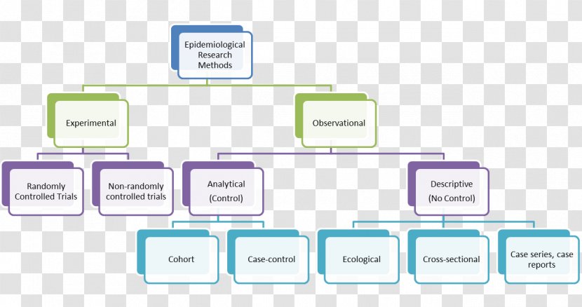 Atrial Fibrillation Organization Management Structure - Descriptive Transparent PNG