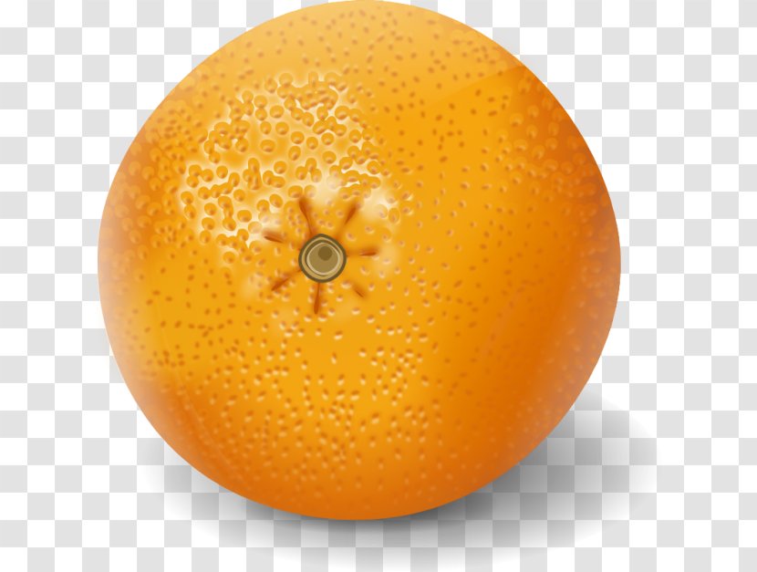 Clementine Orange Juice Mandarin Tangerine - Bitter Transparent PNG
