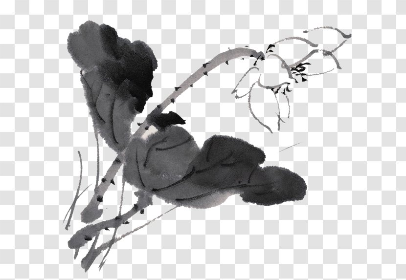 Ink Wash Painting Sacred Lotus 畫荷花 写意荷花 Image - Art - Chinese Flower Transparent PNG
