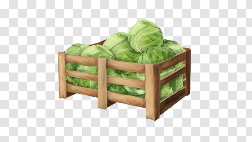 Download Vegetable Cabbage - Box Transparent PNG