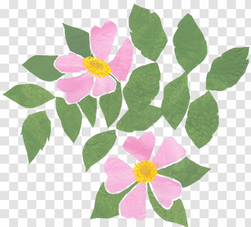 Floral Design Pink M Petal Annual Plant Transparent PNG