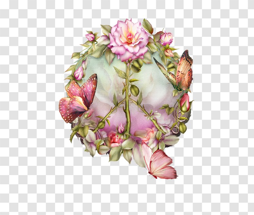 Garden Roses Cabbage Rose Cut Flowers Floral Design - Clearance Sale 0 1 Transparent PNG