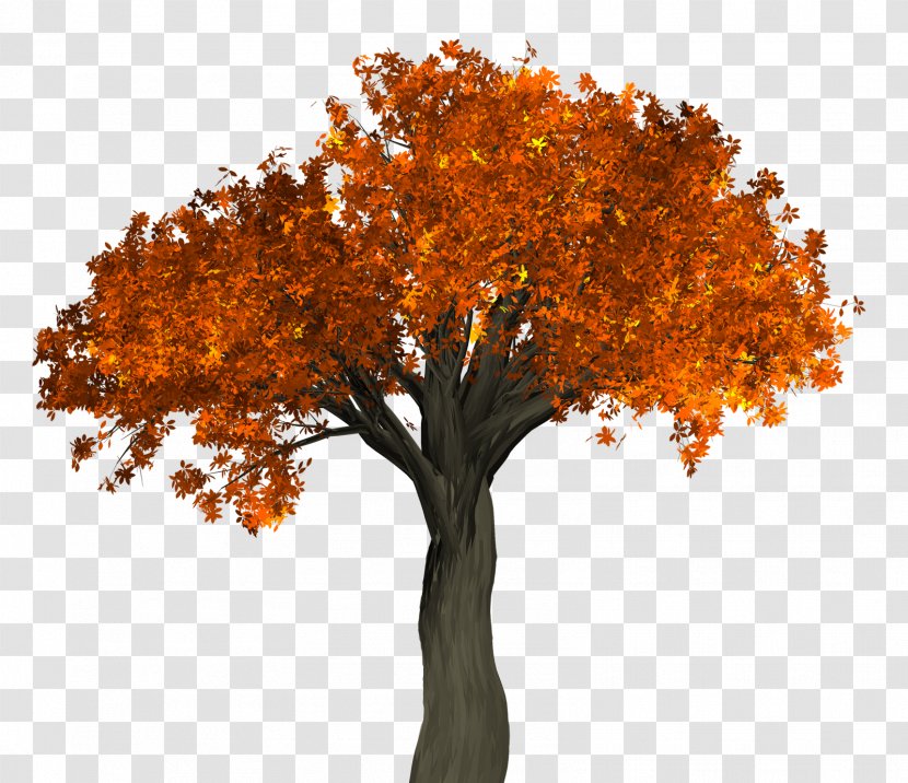 Tree - Maple Leaf - Autumn Transparent PNG