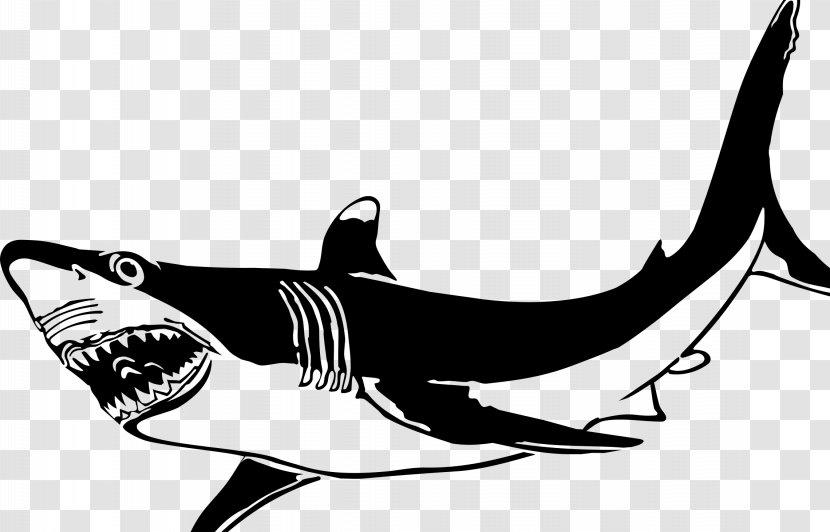 Shark Fin Soup Printed T-shirt Spreadshirt - Black - Cartoon Transparent PNG