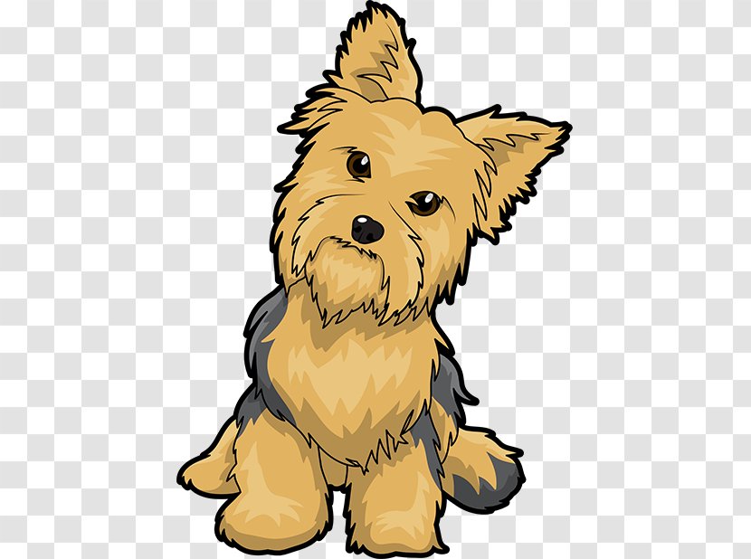 Yorkshire Terrier Puppy Maltese Dog English Toy Clip Art - Schnauzer Transparent PNG