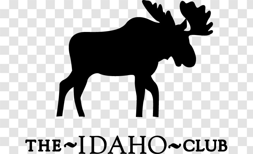 Moose Reindeer Cattle College Jockey Club Córdoba Wildlife - Deer Transparent PNG