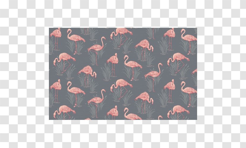 Paper Greater Flamingo Grey Wallpaper - Lagoon Transparent PNG