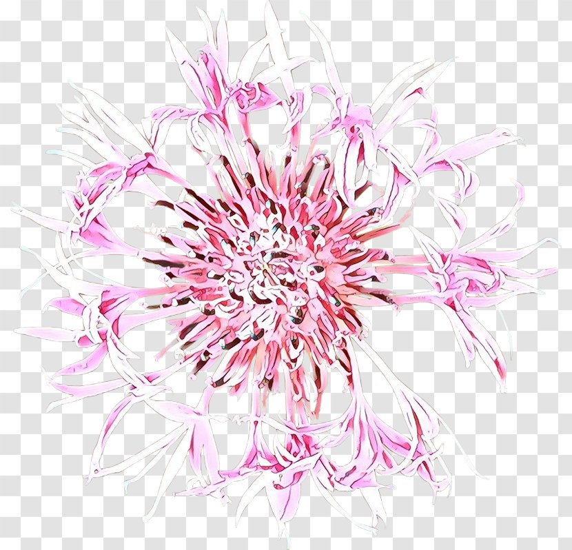Pink Flower Plant Petal Flowering - Wildflower Transparent PNG