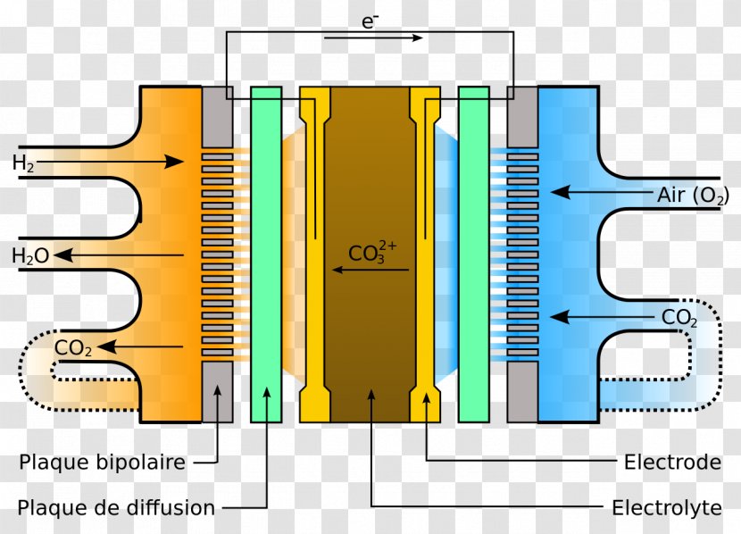 Proton-exchange Membrane Fuel Cell Market Research Marketing - Distribution Transparent PNG