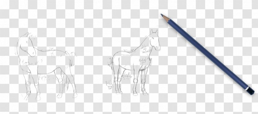 Drawing Line Art Sketch - Mane - Design Transparent PNG