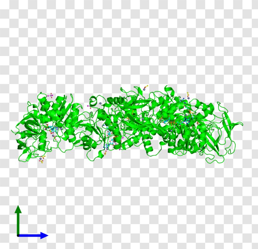 Body Jewellery Green Line Font - Text - Molecular Chain Deductible Transparent PNG