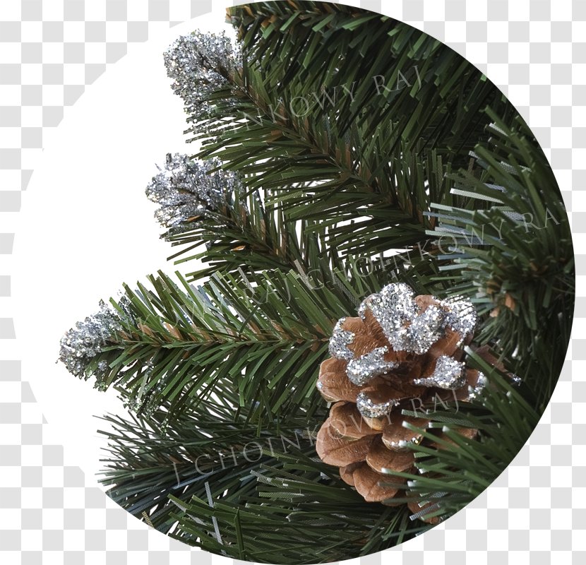 Fir Christmas Ornament Spruce Pine Tree Transparent PNG