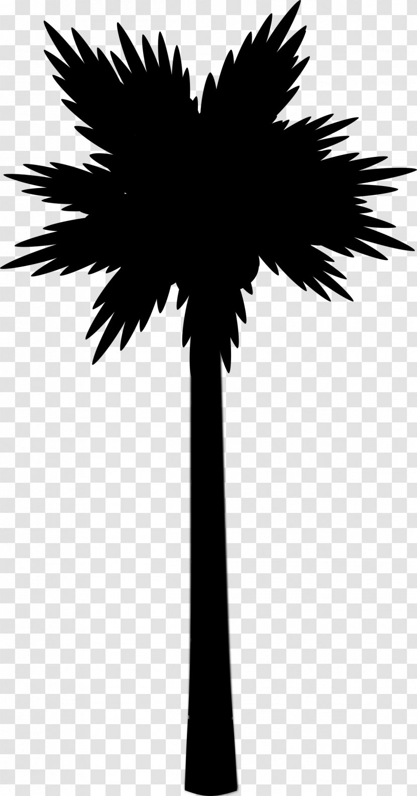 Asian Palmyra Palm Image Trees - Woody Plant Transparent PNG