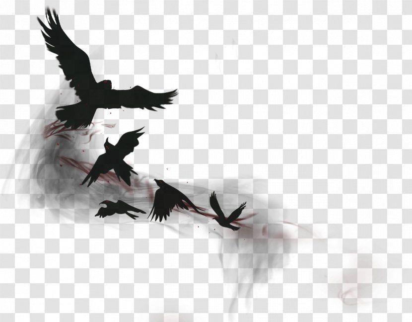 League Of Legends Crow Bird Common Raven Transparent PNG