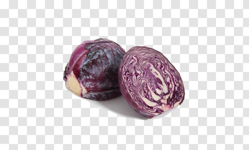 Red Cabbage Vegetable Violet - Vecteur - Vegetables Purple Transparent PNG