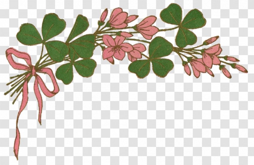 Saint Patrick's Day Shamrock Gift Leprechaun Clip Art - Plant Stem - ST PATRICKS DAY Transparent PNG