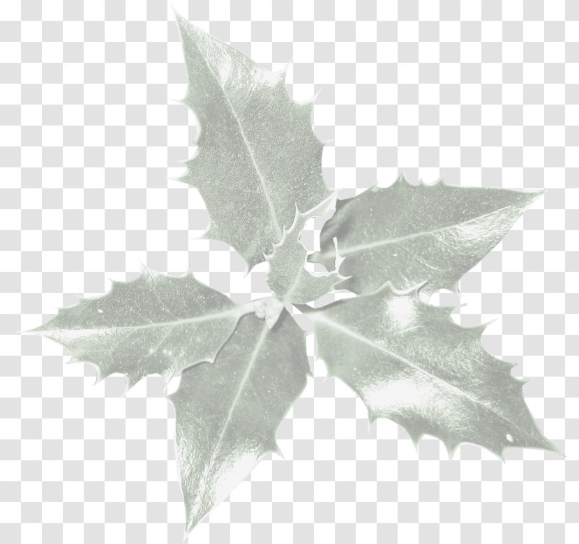 Background Family Day - Plane - Planetree Ivy Transparent PNG