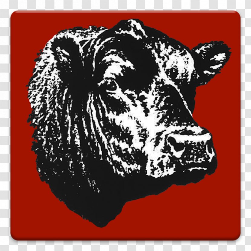 Angus Cattle Beef Bull Calf American Association - Google Play Transparent PNG