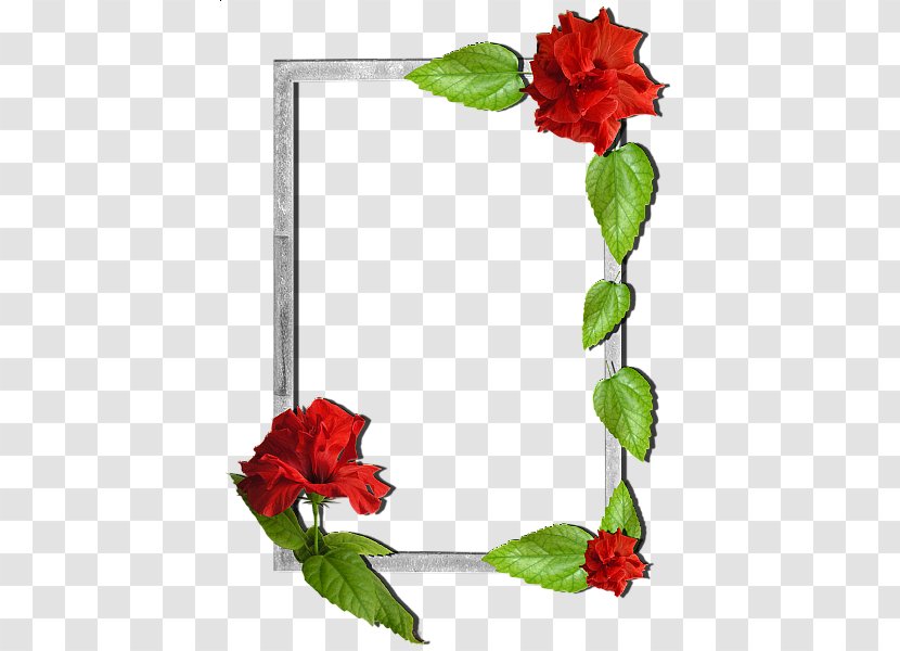 Picture Frames Flower Floral Design Clip Art Transparent PNG