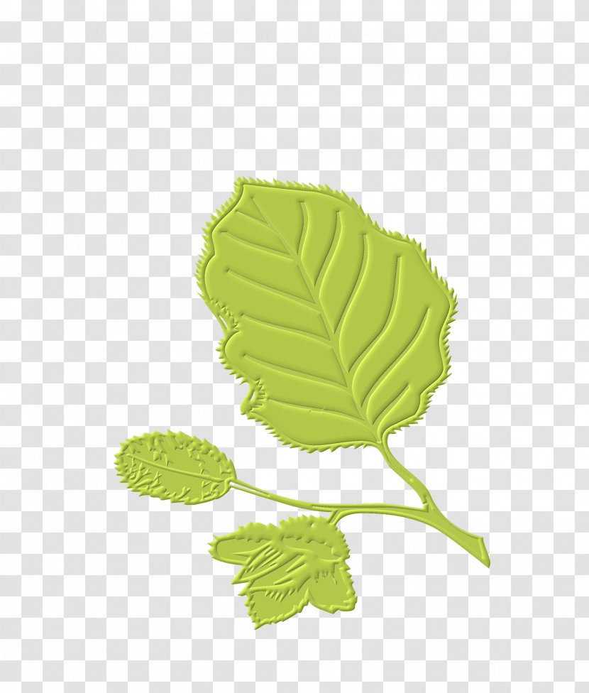 Leaf Download Computer Software - Limbe - Leaves Free Transparent PNG