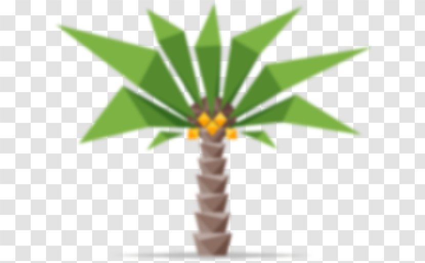 Arecaceae Coconut Tree Stock Photography Transparent PNG